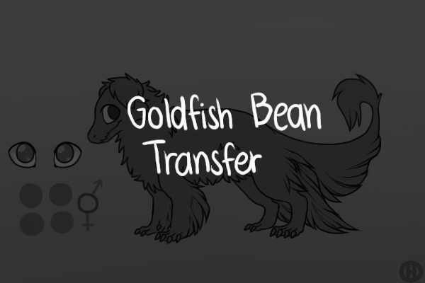 Goldfish Bean Transfer