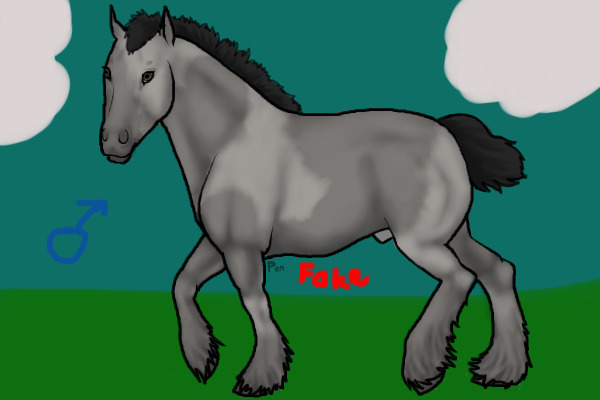 Gray Stallion