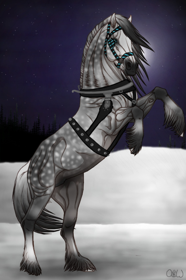 ~❊~ #124 Midnight Stallions ~❊~