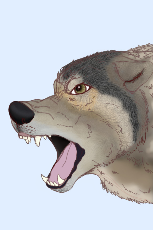 Snarly (wip)