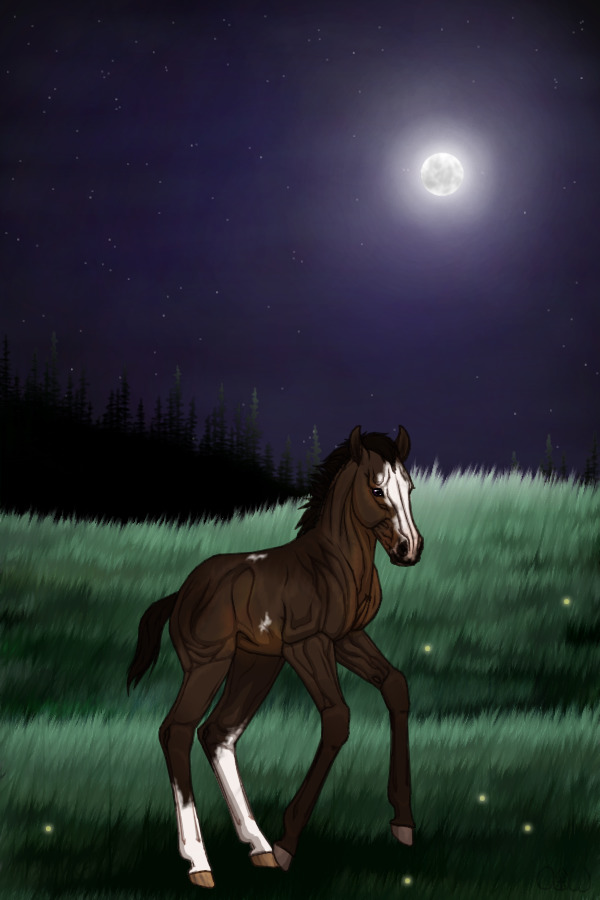~❊~ #14 Midnight Stallions Foal ~❊~