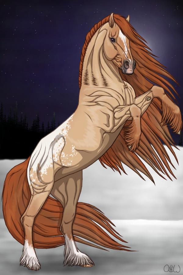 ~❊~ #129 Midnight Stallions ~❊~