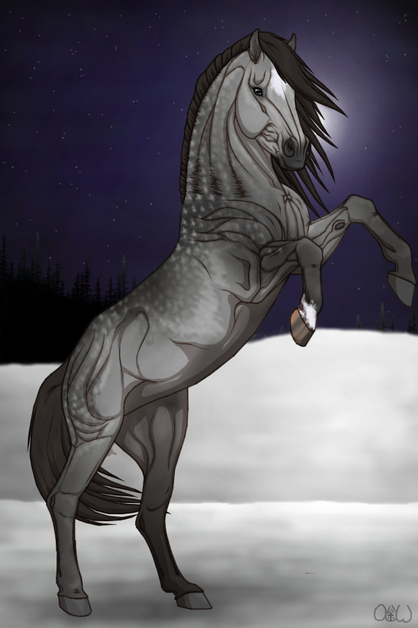 ~❊~ #130 Midnight Stallions ~❊~