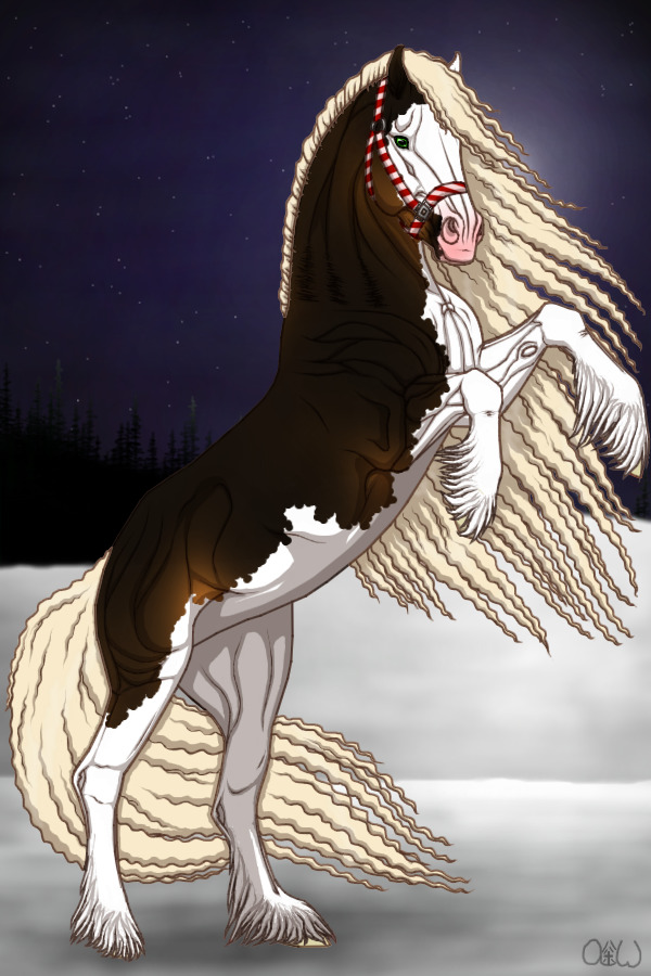~❊~ #131 Midnight Stallions ~❊~