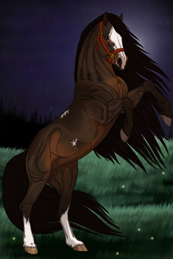 ~❊~ #14 Midnight Stallions Foal (Growth)~❊~