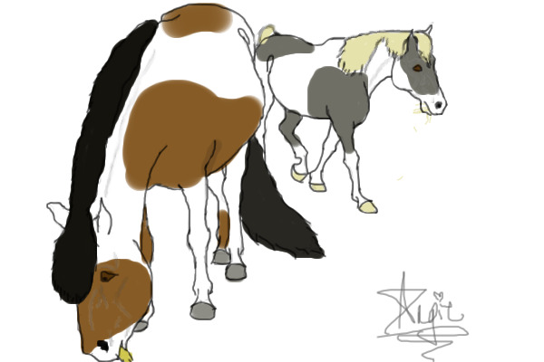 Two ponies