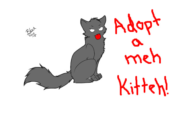 Adopt a "Meh" kitteh!