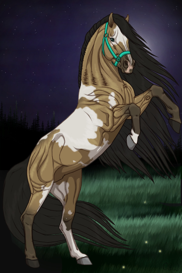 ~❊~ #132 Midnight Stallions ~❊~