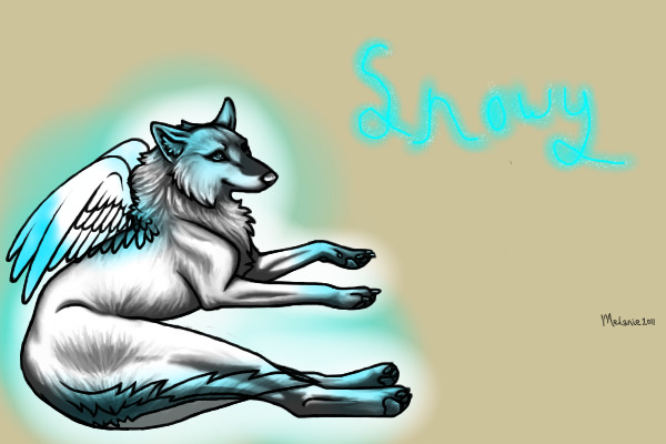 Snowy ~ Husky