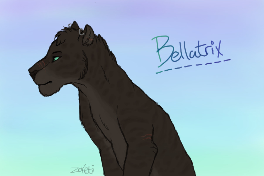bellaaaa