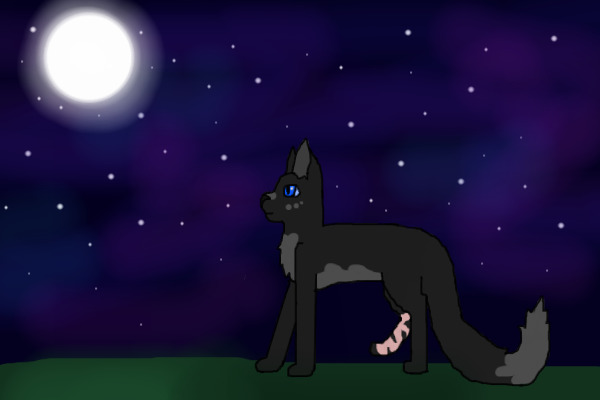 Cinderpelt