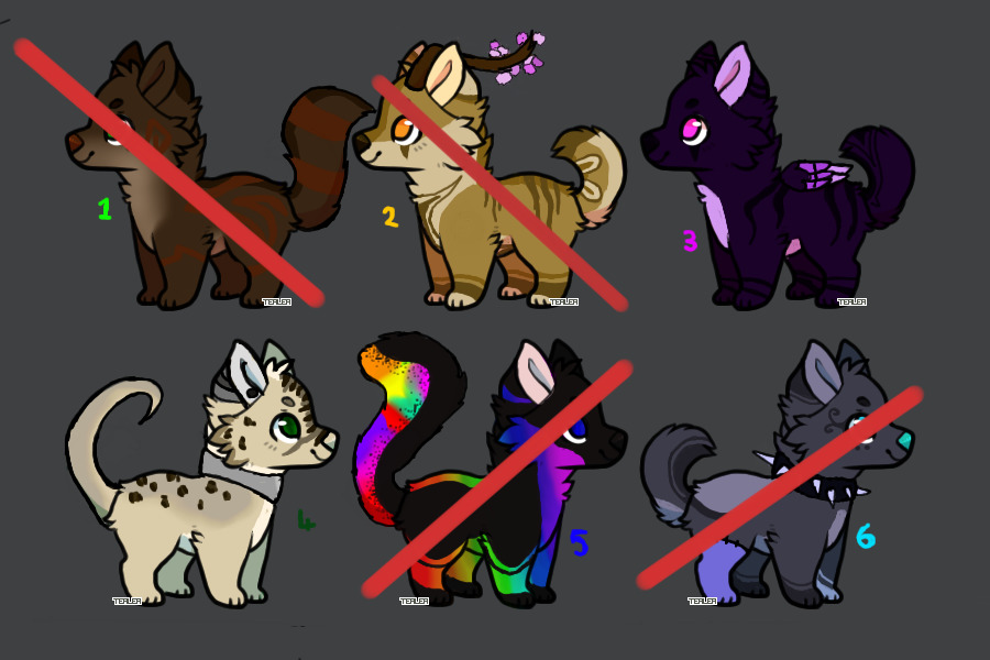 Wolf adoptables // Closed