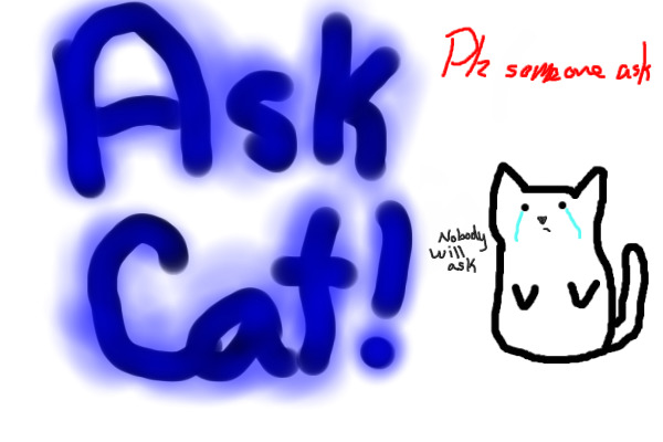 Ask Cat! Plz