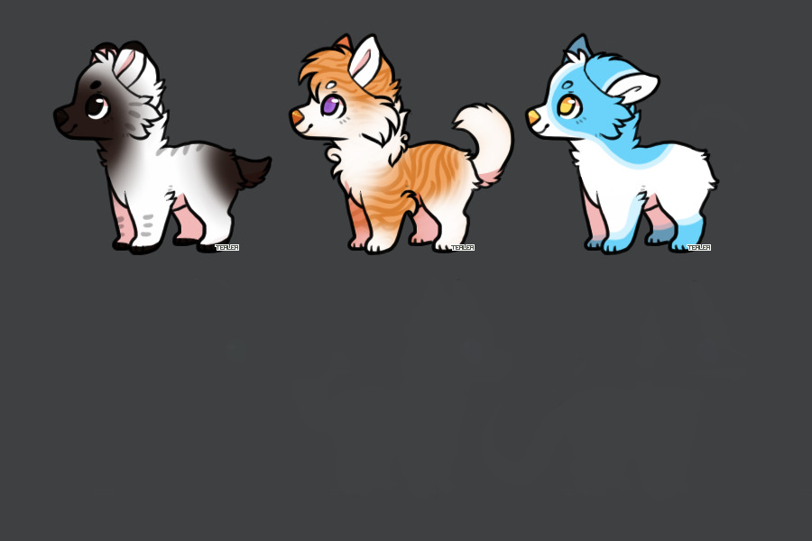 Puppers flatsale