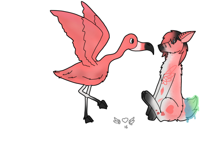 Flamingo on The Loose