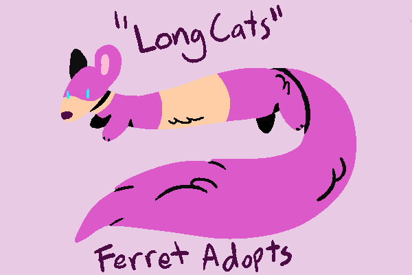Long Cats (ferret adopts) - closed