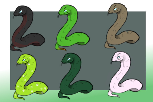 My Snakes (FREE FOR ADOPTION)