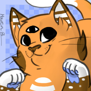 |kyara profile pic|