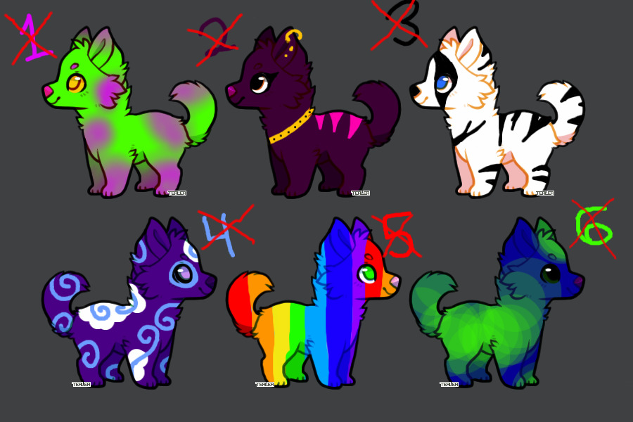 First Adoptable Dogs Batch of 6 CLOSED