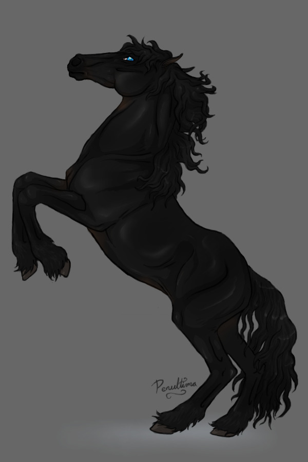 Friesian Lineart Commission