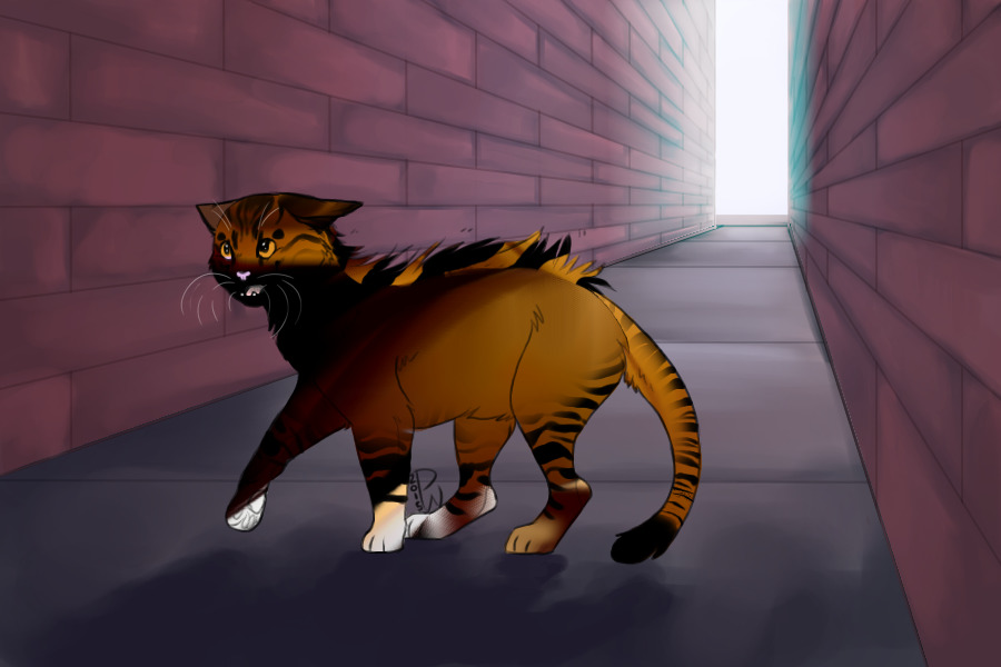 Gene mutation, bomb thing with stipes