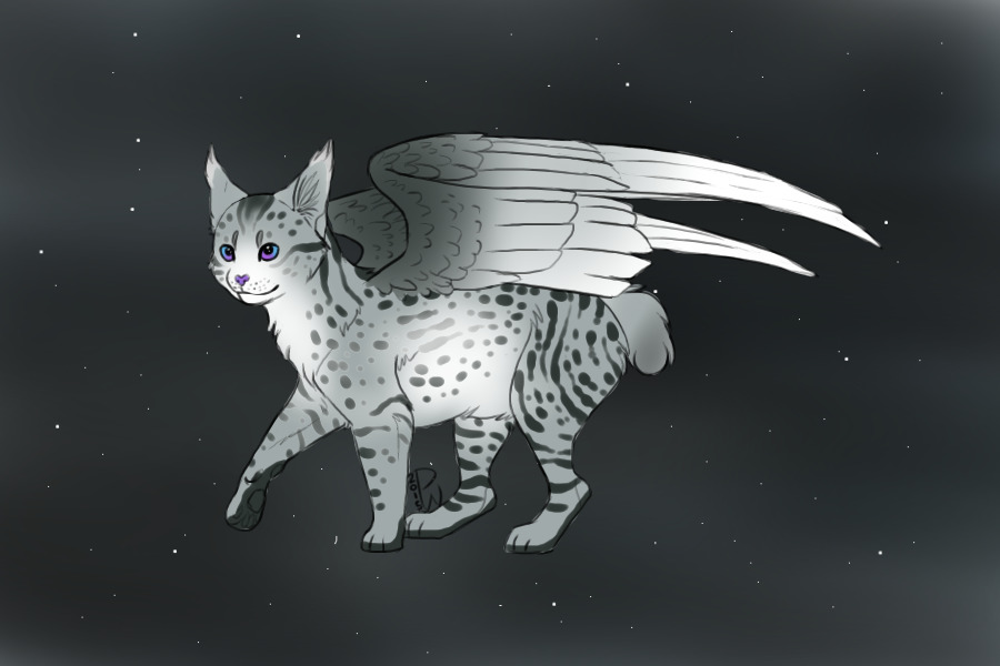 Gift for Hollyleaflives