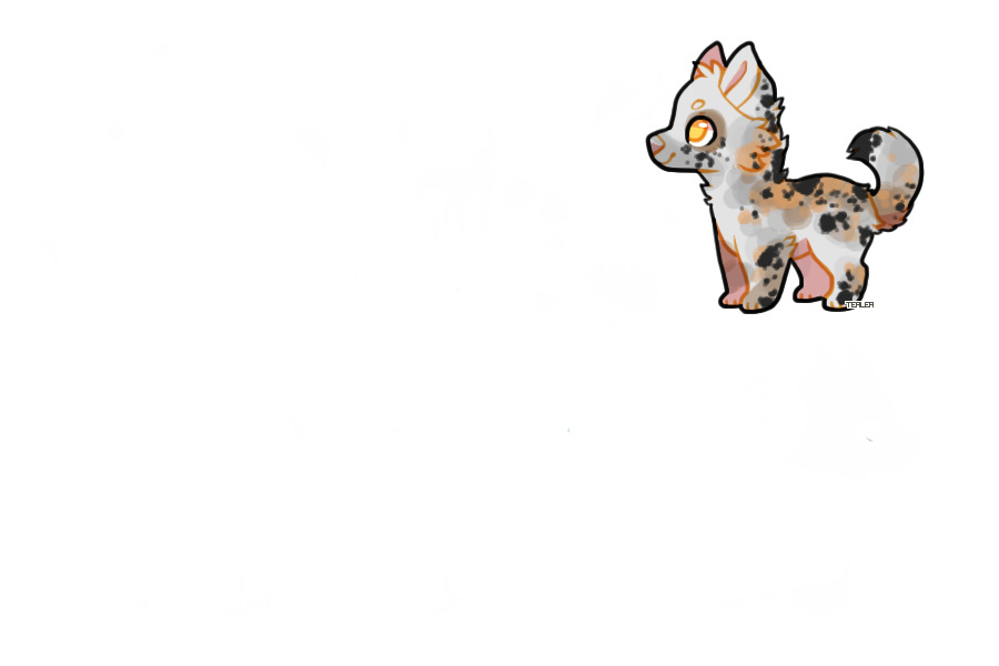 koi