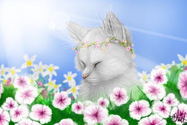 Kitty with flowers ;3