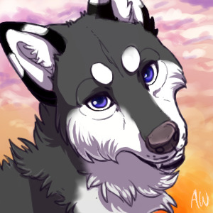 Silver - my fursona