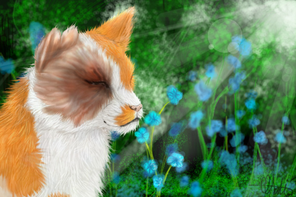 Brightheart avatar, free to use! =D