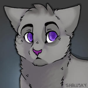 Vixen -- my domestic cat oc