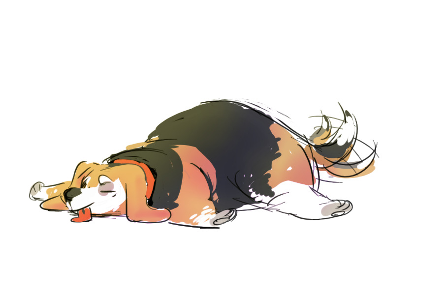 mods are asleep post fat beagle