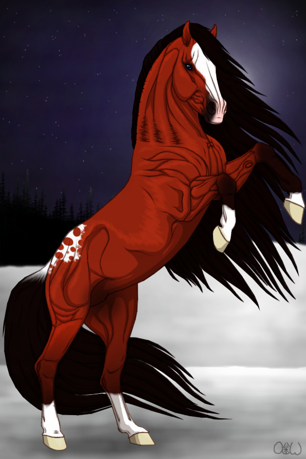 ~❊~ #152 Midnight Stallions ~❊~
