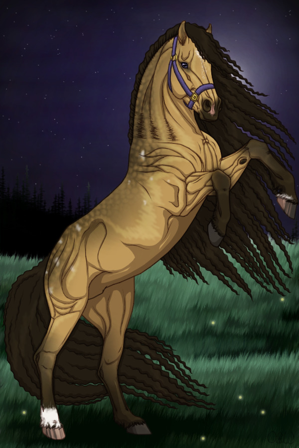 ~❊~ #121 Midnight Stallions~❊~