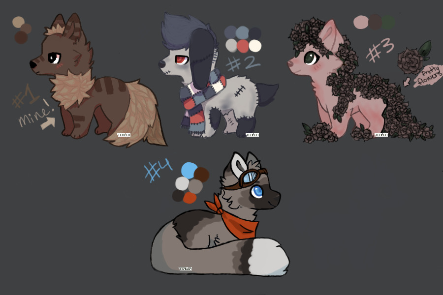 Offer to adopt(Closed!)