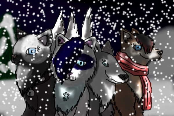 Christmas Gift