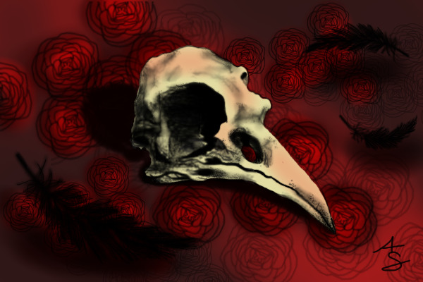 Bird's Skull
