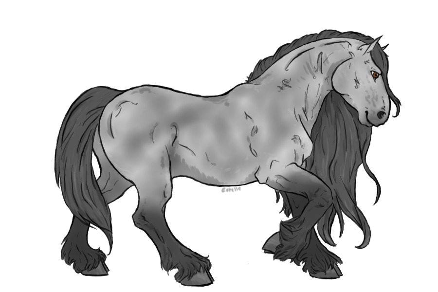 #5 Omina Draught Horse