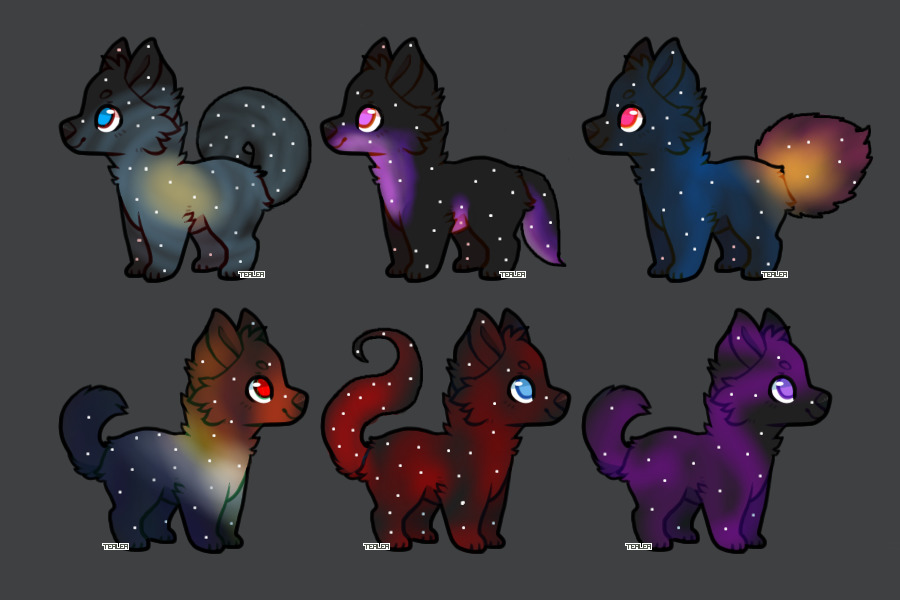 Galaxy adopts