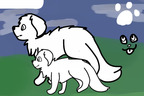 Caucasian Shepard Dog adopts