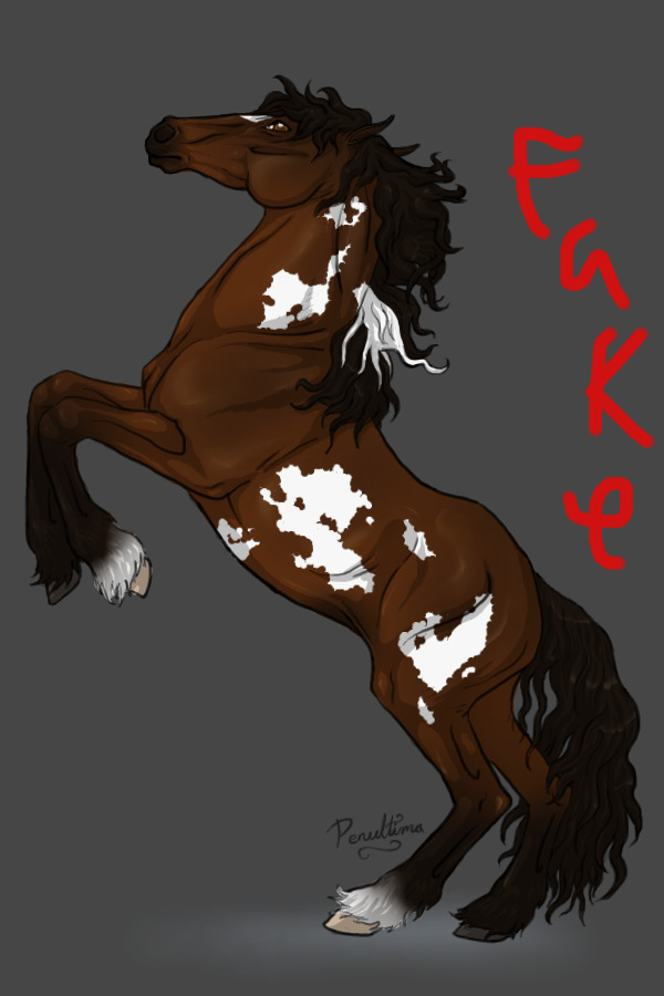 Horse 5