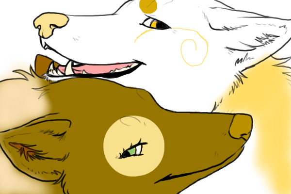Dogs