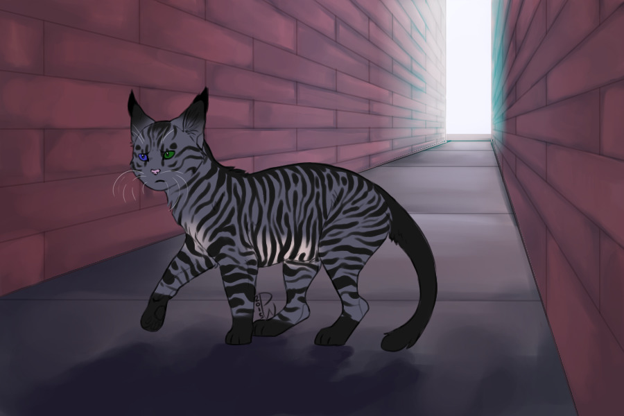 Semi Custom For Ravenshadow17