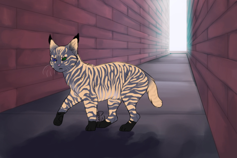 Semi custom for PhinaWolf