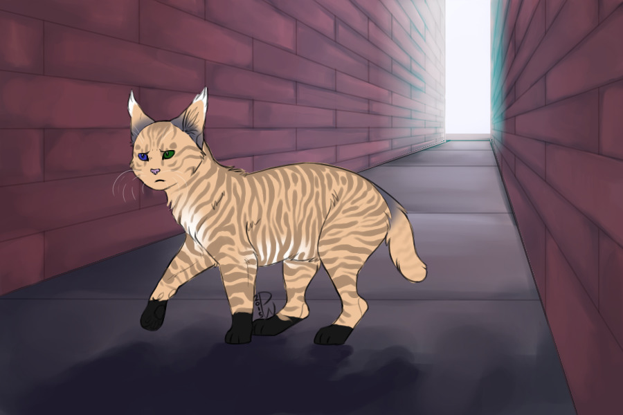 semi custom for LadyChinaAru