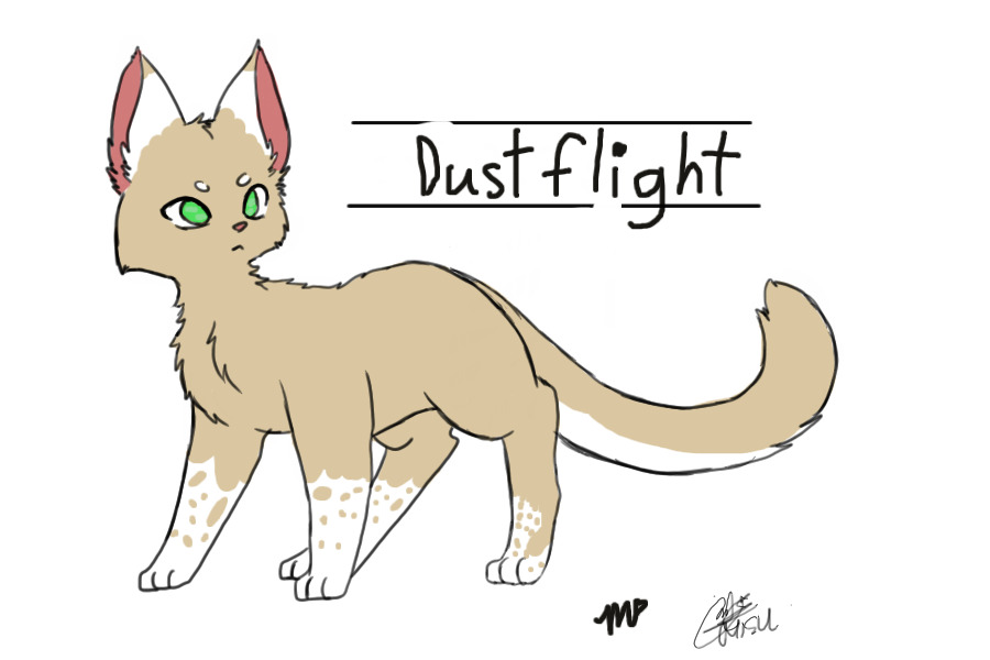 My Warrior Cats OC- Dustflight