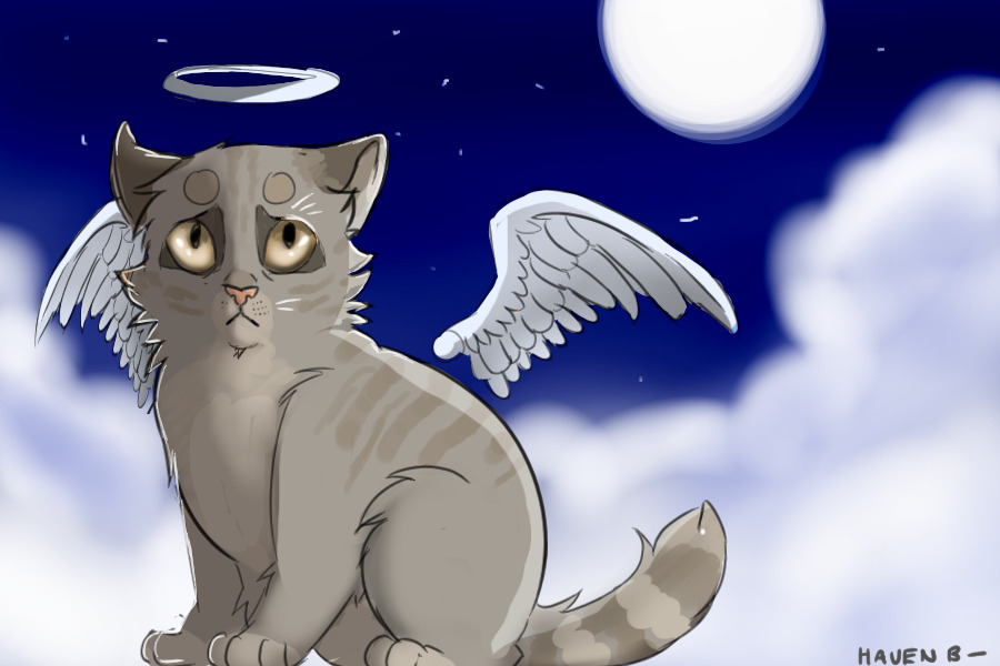 Angel Cat Editable