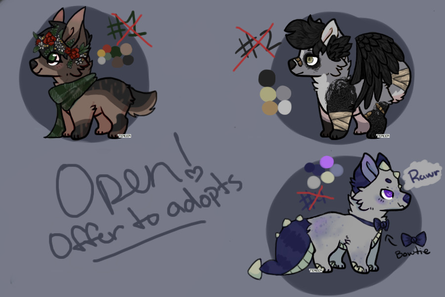 Offer to Adopts (CLOSED 0/3)