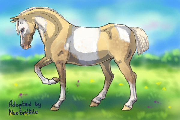 Palomino Paint