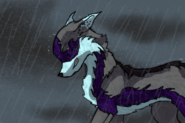 Rain Wolf